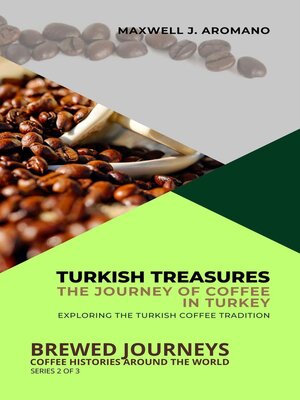 cover image of Turkish Treasures